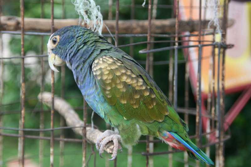 Mexico & Guatemala 2010 - 0323